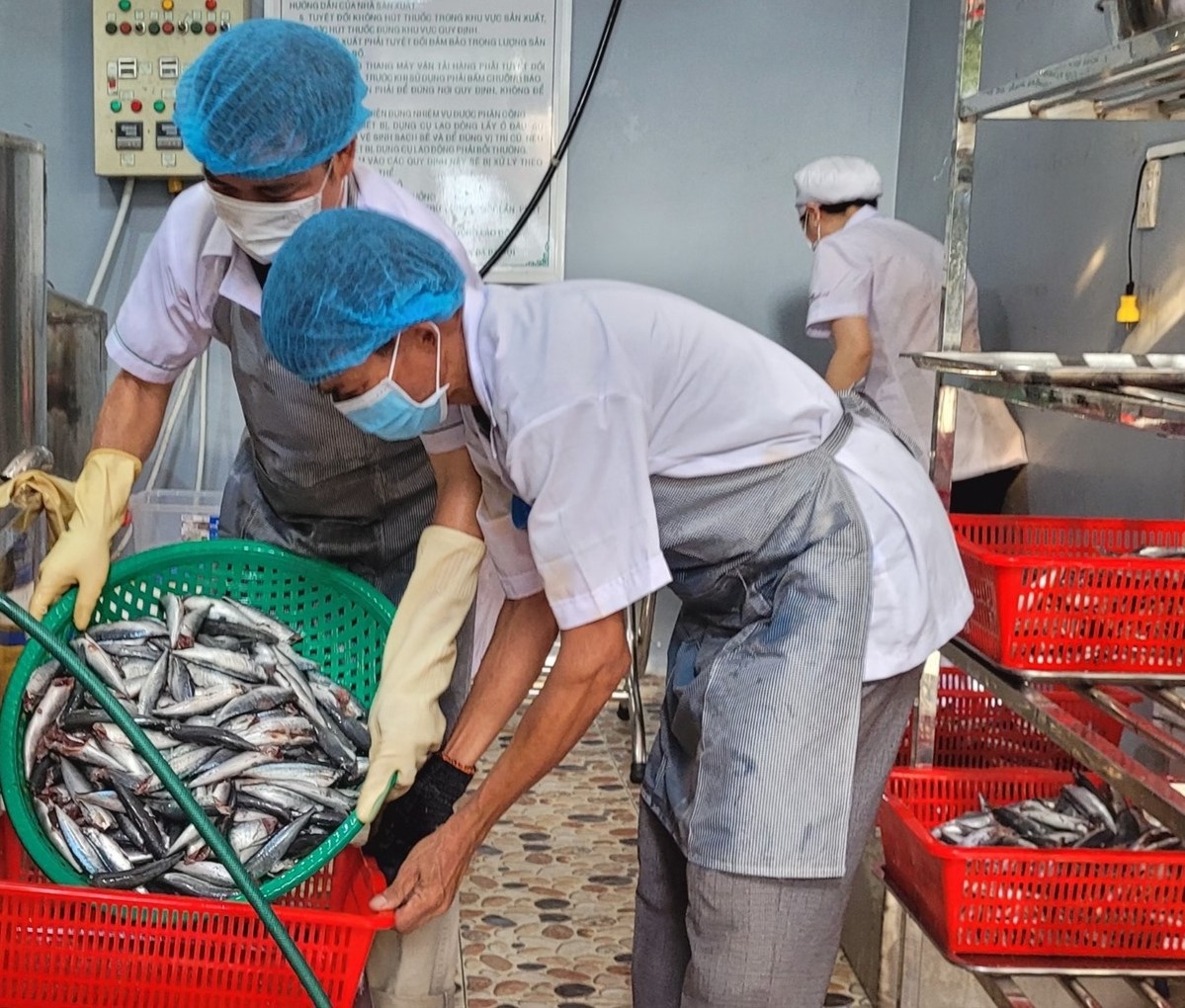 HTX Bà Ba Hội là đơn vị xuất khẩu thành công cá nục rim sang Mỹ.