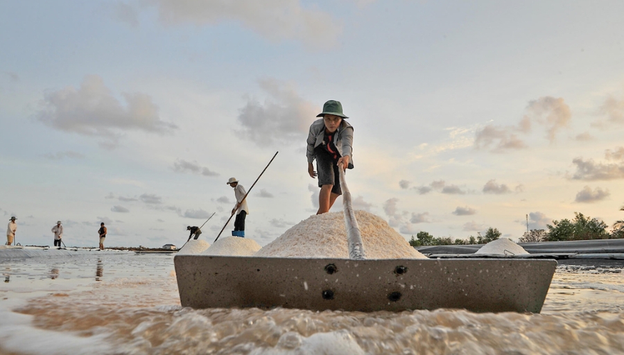 Kỳ vọng các HTX diêm nghiệp ở huyện Đông Hải đẩy mạnh liên kết theo chuỗi giá trị để giúp nâng cao đời sống cho các diêm dân.