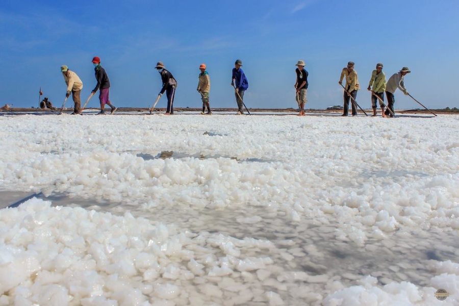 Huyện Đông Hải lâu nay được xem là “thủ phủ” nghề muối của tỉnh Bạc Liêu, thế nhưng diêm dân thường xuyên sống bấp bênh khi giá muối lên xuống thất thường.