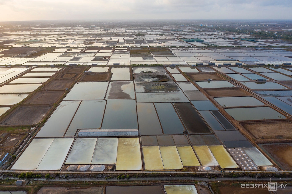 Bộ N&PTNT đã có dự án xây dựng đồng muối chất lượng cao ở huyện Đông Hải với sự tham gia của HTX.