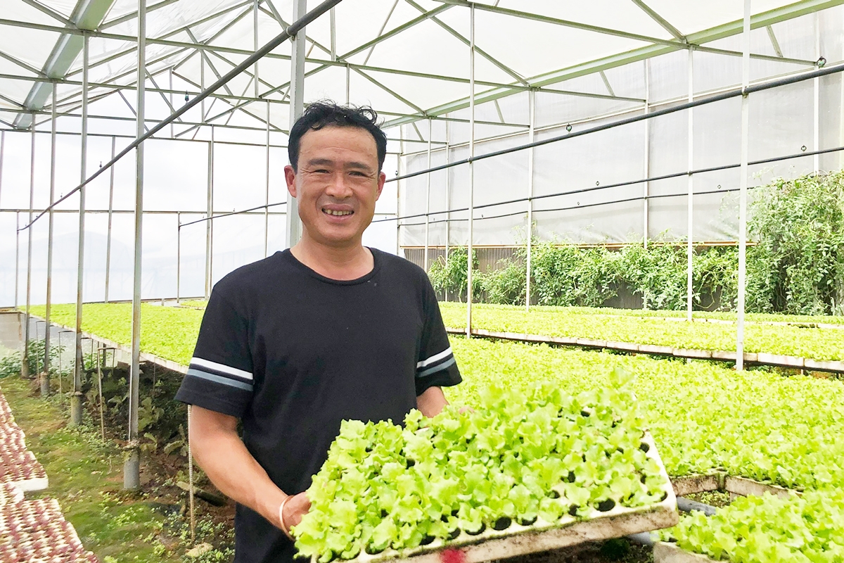 Hoạt động ổn định giúp HTX trở thành điểm tựa làm giàu cho các thành viên.