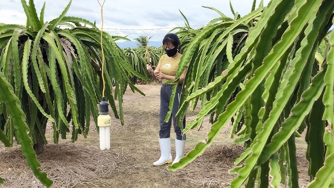 Giá điện tăng ảnh hưởng đến việc cân đối t