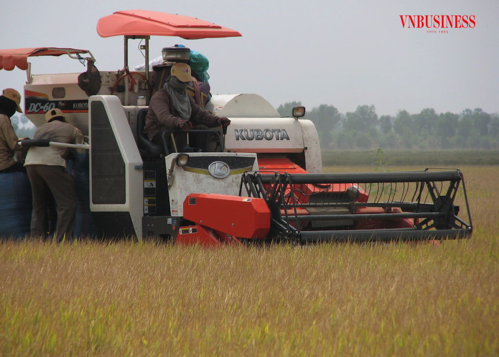 Ngành hàng lúa gạo Việt cần hướng tới áp dụng các biện pháp sản xuất phát thải thấp theo tiêu chuẩn quốc tế.