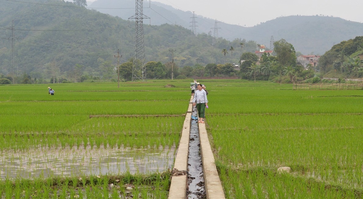 Hệ thống thủy lợi ở các địa phương hiện đang tập trung phục vụ cho cây lúa, chưa đảm bảo cho đa dạng cây trồng