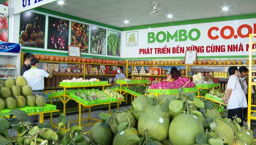 HTX Bom Bo Bình Phước đang đẩy mạnh liên kết với các HTX trong tỉnh Bình Phước nhằm thúc đẩy sản xuất, mua bán nông sản.