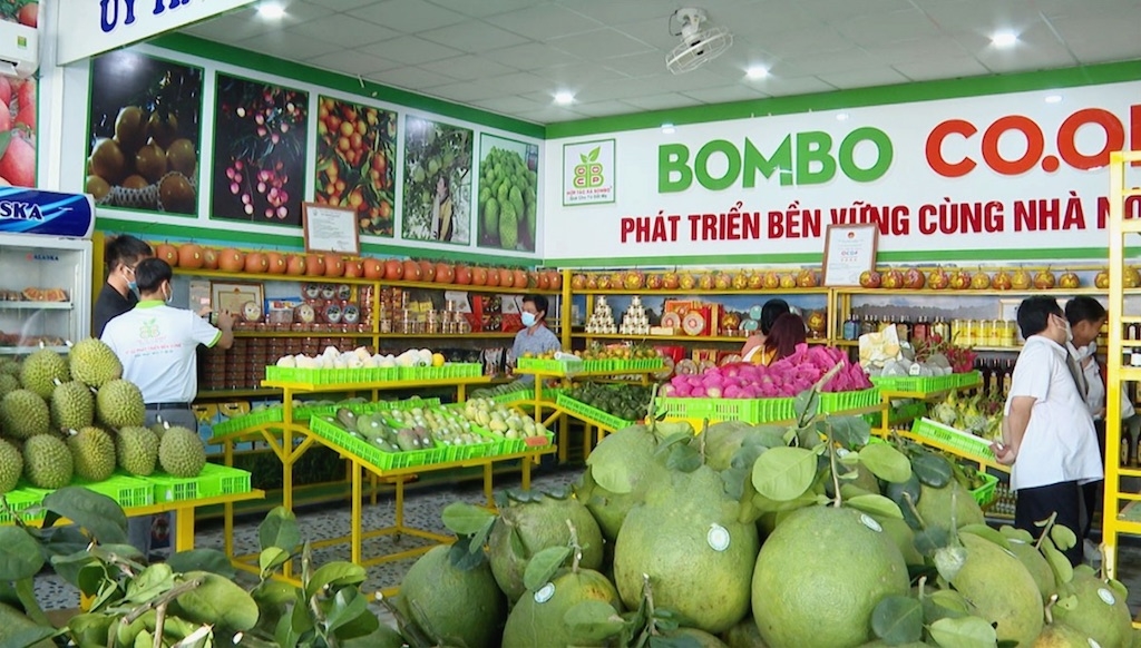 HTX Bom Bo Bình Phước đang đẩy mạnh liên kết với các HTX trong tỉnh Bình Phước nhằm thúc đẩy sản xuất, mua bán nông sản.