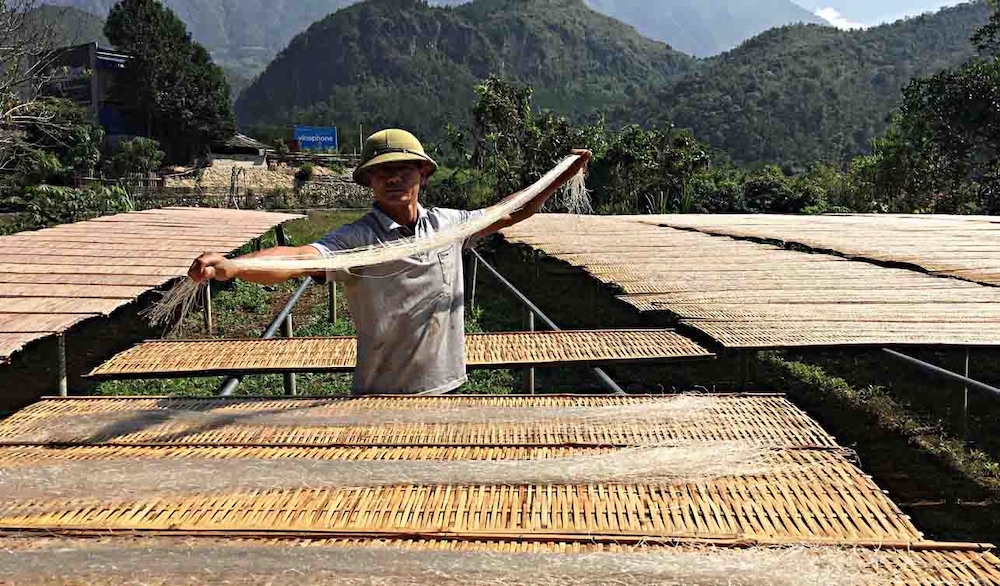 HTX Nông nghiệp dịch vụ Bình Lư &lpar;Tam Đường&rpar; sản xuất miến đạt OCOP 3 sao.