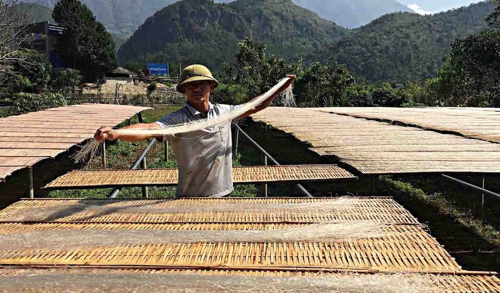 HTX Nông nghiệp dịch vụ Bình Lư &lpar;Tam Đường&rpar; sản xuất miến đạt OCOP 3 sao.