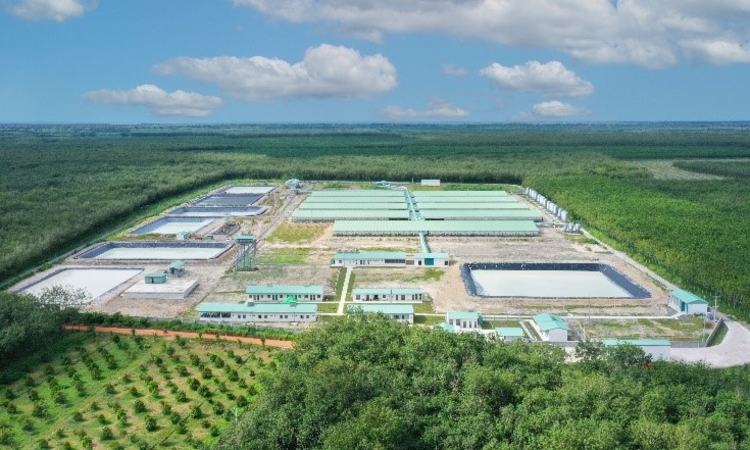 Liên tục huy động vốn từ phát hành cổ phiếu và trái phiếu, Nông nghiệp BAF Việt Nam kinh doanh ra sao?