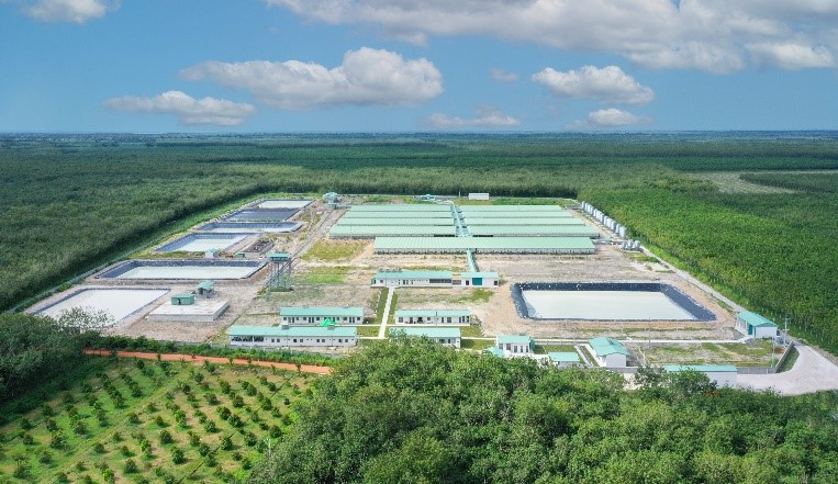 Nông nghiệp BaF Việt Nam phát hành hơn 68,4 triệu cổ phiếu chào bán cho cổ đông hiện hữu, giá 10.000 đồng/cp.