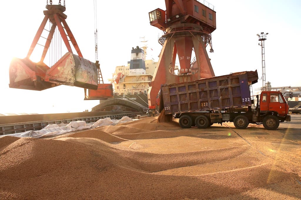 Trong 10 tháng năm 2023 Việt Nam đã nhập khẩu trên 1,61 triệu tấn đậu tương, trị giá gần 1,02 tỷ USD, giá trung bình 632,6 USD/tấn.