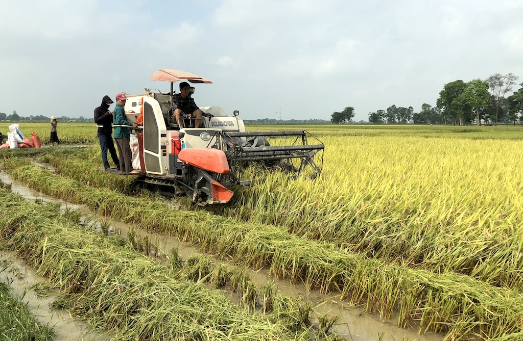 Huyện Mỹ Tú đang tập trung chuyển đổi tư duy từ phát triển sản xuất nông nghiệp sang phát triển kinh tế nông nghiệp.
