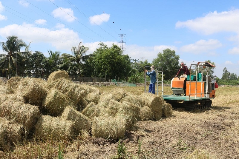 Tận dụng rơm để sản xuất viên nén xuất khẩu vừa bảo vệ môi trường, vừa tạo việc làm cho nhiều người dân và giúp doanh nghiệp phát triển bền vững khi xuất khẩu được vào nhiều thị trường khó tính.