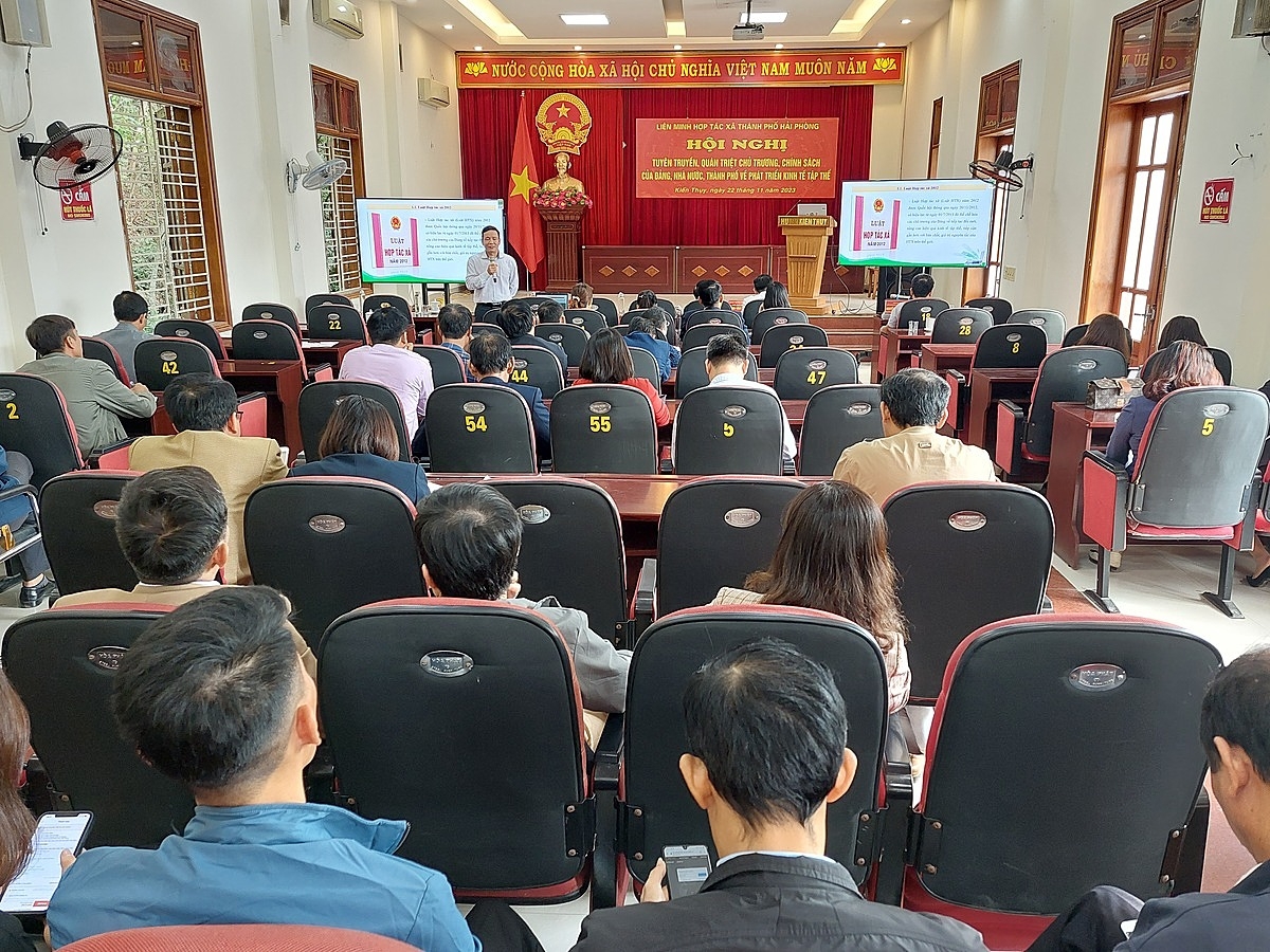 Tất cả lãnh đạo các xã, thị trấn và các HTX tại đại bàn huyện Kiến Thụy đã tham gia hội nghị đông đủ.