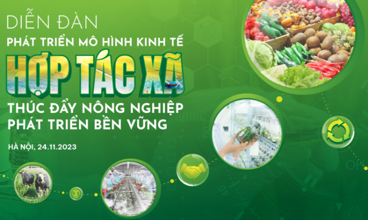 Diễn đàn Phát triển mô hình kinh tế hợp tác xã, thúc đẩy nông nghiệp phát triển bền vững