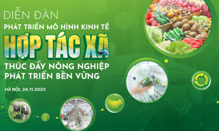 Diễn đàn Phát triển mô hình kinh tế hợp tác xã, thúc đẩy nông nghiệp phát triển bền vững