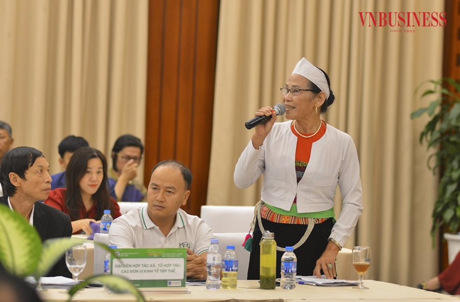 Bà Nguyễn Thị Bình, Chủ tịch HĐQT kiêm Giám đốc HTX nông nghiệp Bản Dao &lpar;Hòa Bình&rpar;