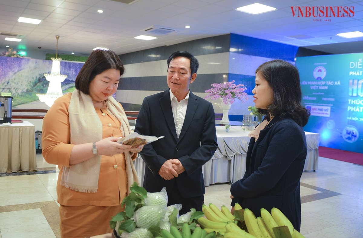 Với trăn trở nâng cao giá trị nông sản, HTX đang tìm cách chế biến sâu sản phẩm. Trong ảnh: Chủ tịch Liên minh HTX Việt Nam đang xem sản phẩm chuối tiêu được HTX sấy theo công nghệ lò.