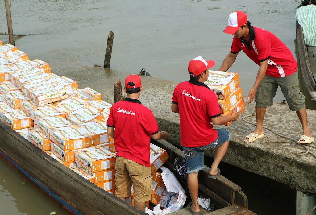 Vú sữa của các HTX ở Kế Sách cung cấp cho doanh nghiệp được đóng thùng để xuất sang Mỹ.