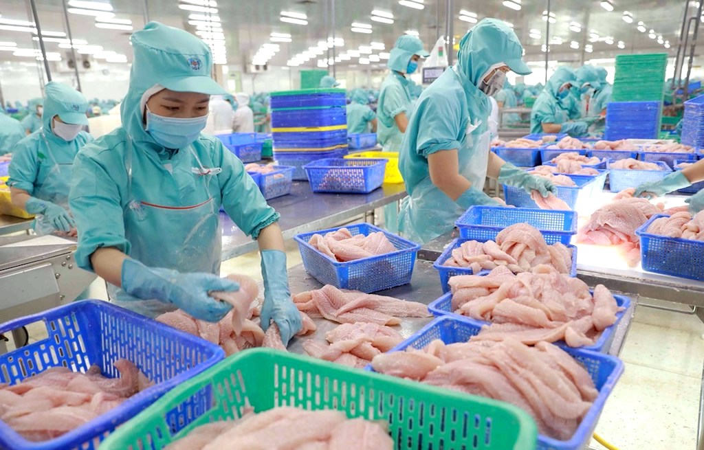 Nhu cầu ở Mỹ vào thời điểm cuối năm yếu hơn dự kiến, khiến cho đà phục hồi của các DN xuất khẩu cá tra vào thị trường này không như kỳ vọng.