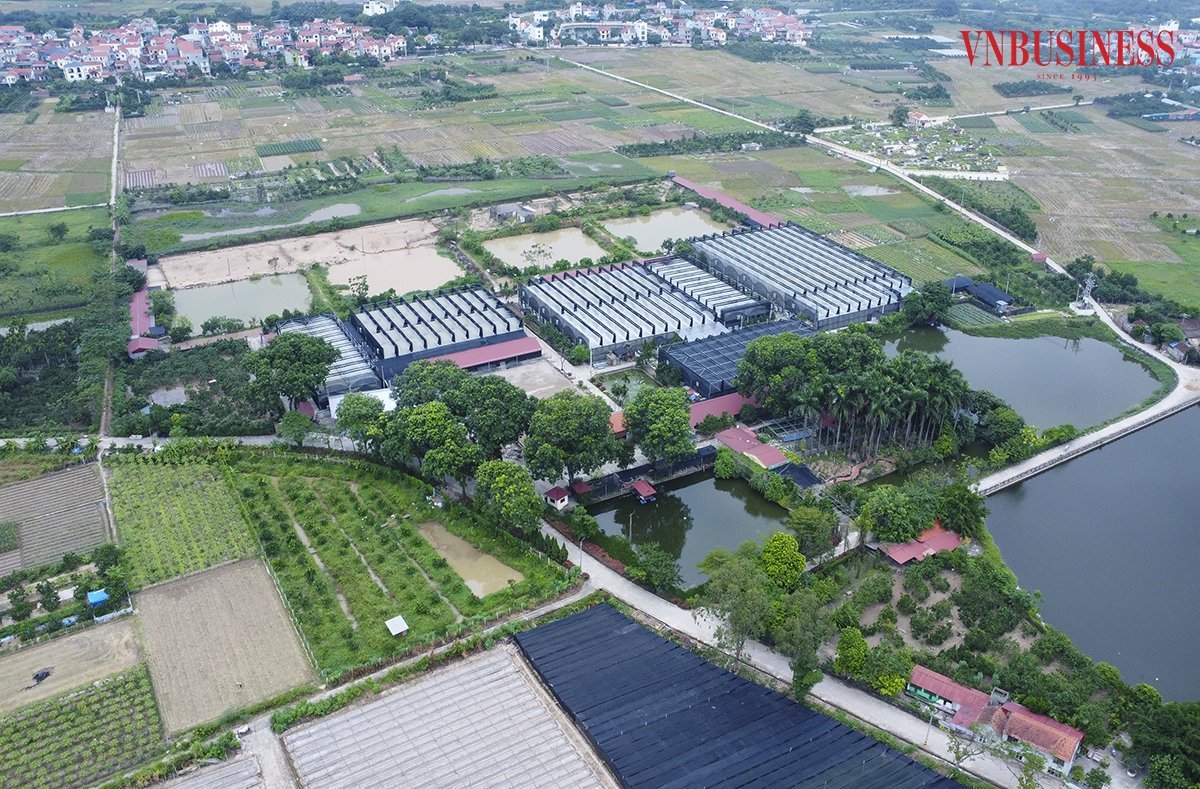 HTX Đan Hoài đầu tư cơ sở vật chất hiện đại với 18.000m2 nhà lưới công nghệ cao để sản xuất hoa cao cấp.