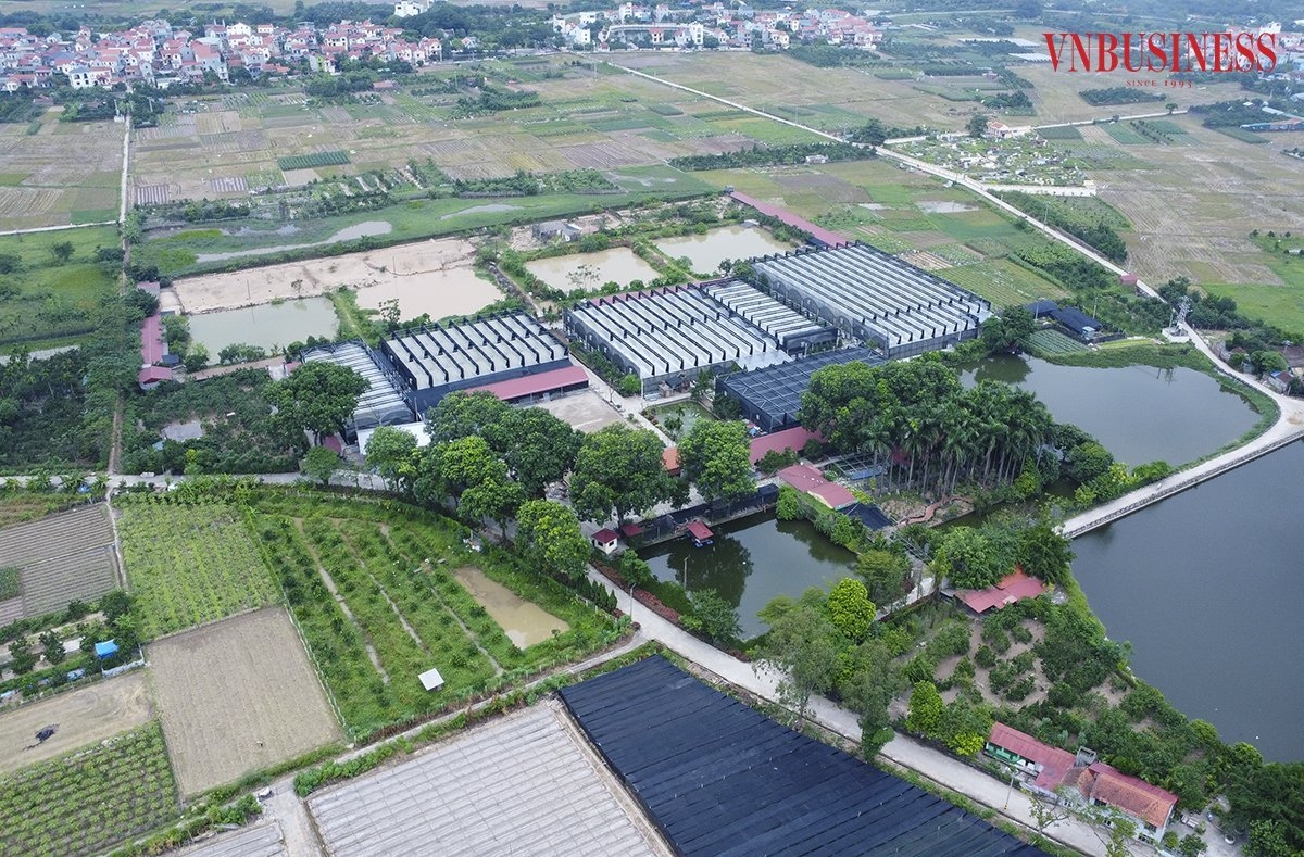 HTX Đan Hoài đầu tư cơ sở vật chất hiện đại với 18.000m2 nhà lưới công nghệ cao để sản xuất hoa cao cấp.