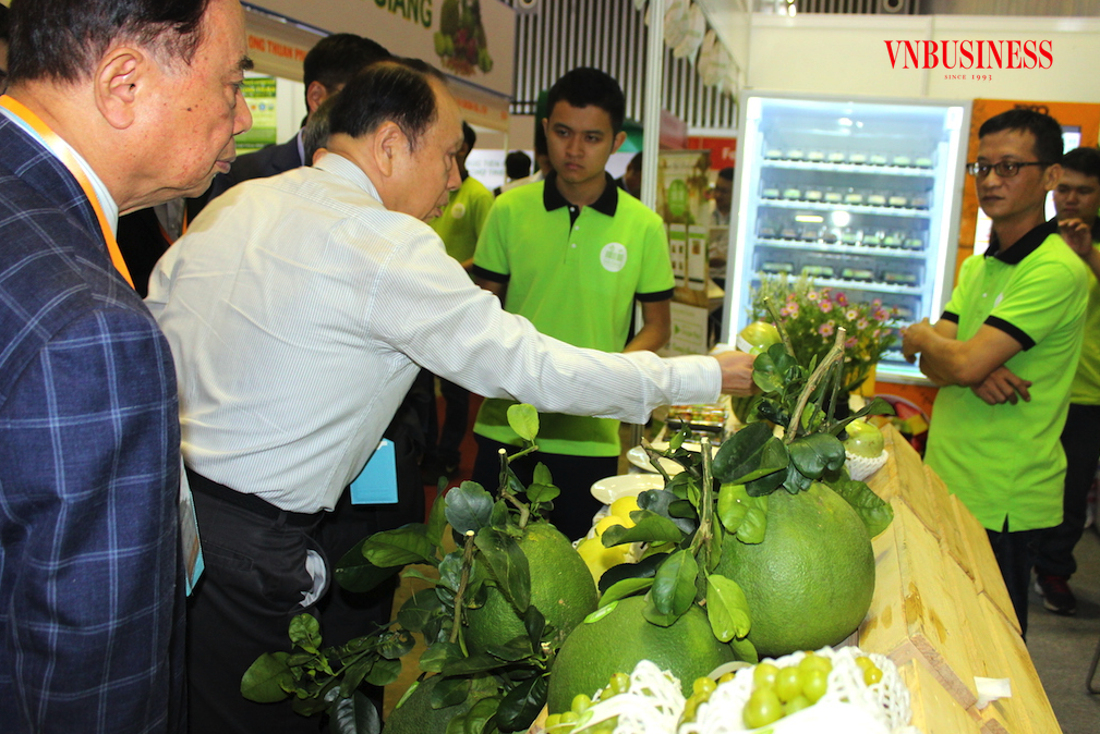 Dư địa cho trái cây của Việt Nam thâm nhập vào các địa phương nằm sâu trong nội địa của Trung Quốc là rất lớn.