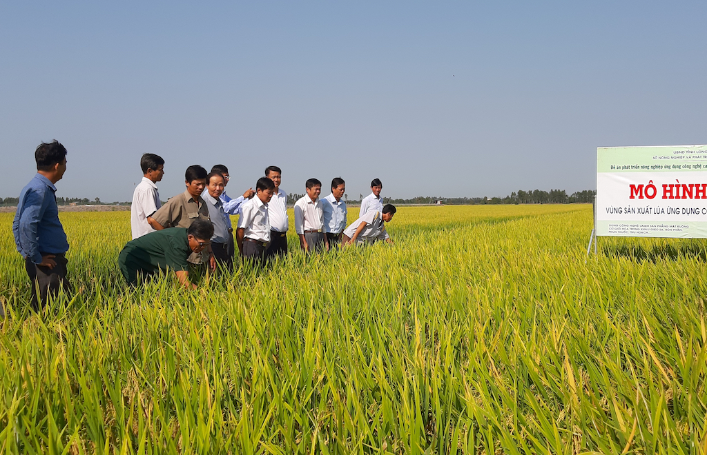 Mô hình trồng lúa hữu cơ của HTX Nông nghiệp Tân Tiến mang lại lợi ích kép.