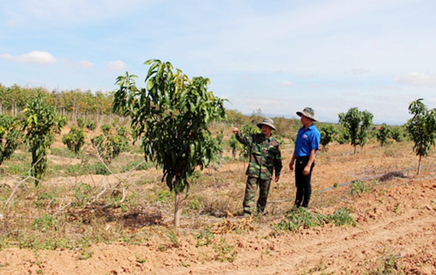 Nhờ tham gia vào HTX, nhiều hộ nông dân đã thoát nghèo vươn lên ổn định cuộc sống.