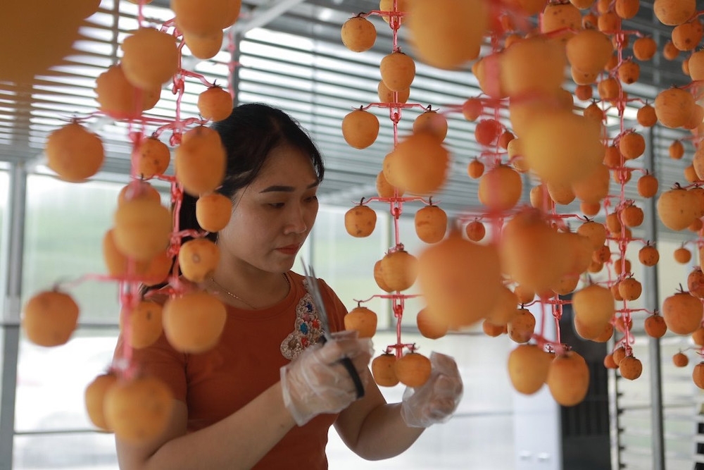 Chị Vương Thị Thương với sản phẩm hồng vành khuyên treo gió.