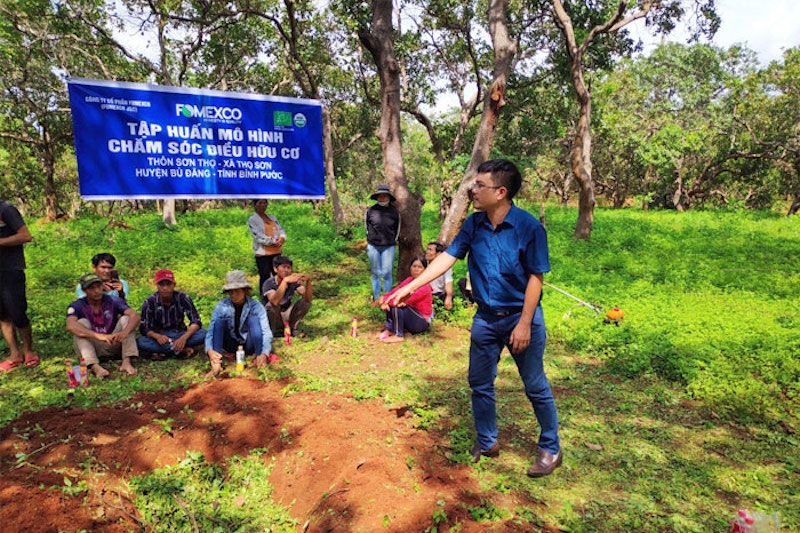 Tham gia vào các HTX có liên kết cùng doanh nghiệp giúp bà con dân tộc thiểu số ở Bù Đăng được tập huấn các kỹ thuật canh tác điều hữu cơ.