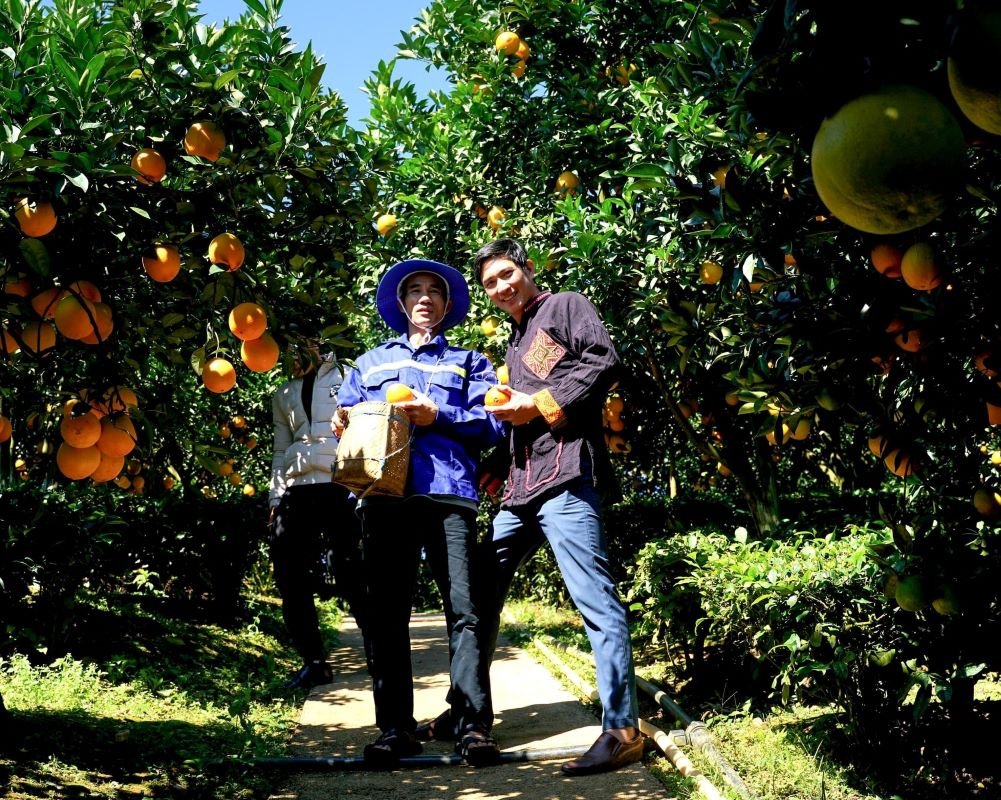 HTX Đặc sản Tây Bắc không chỉ giúp người dân đẩy mạnh tiêu thụ sản phẩm, mà còn mở ra hướng làm giàu cho thành viên.