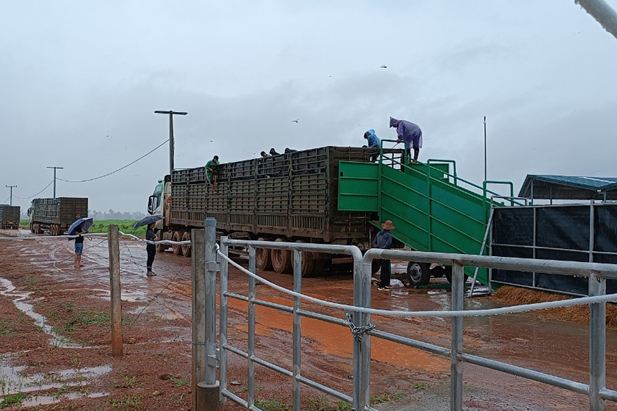 THILOGI đã xây dựng quy trình vận chuyển khoa học và phù hợp, bố trí 15 xe chuyên dụng, cùng đội ngũ lái xe giàu kinh nghiệm, đảm bảo vận chuyển an toàn, nhanh chóng.
