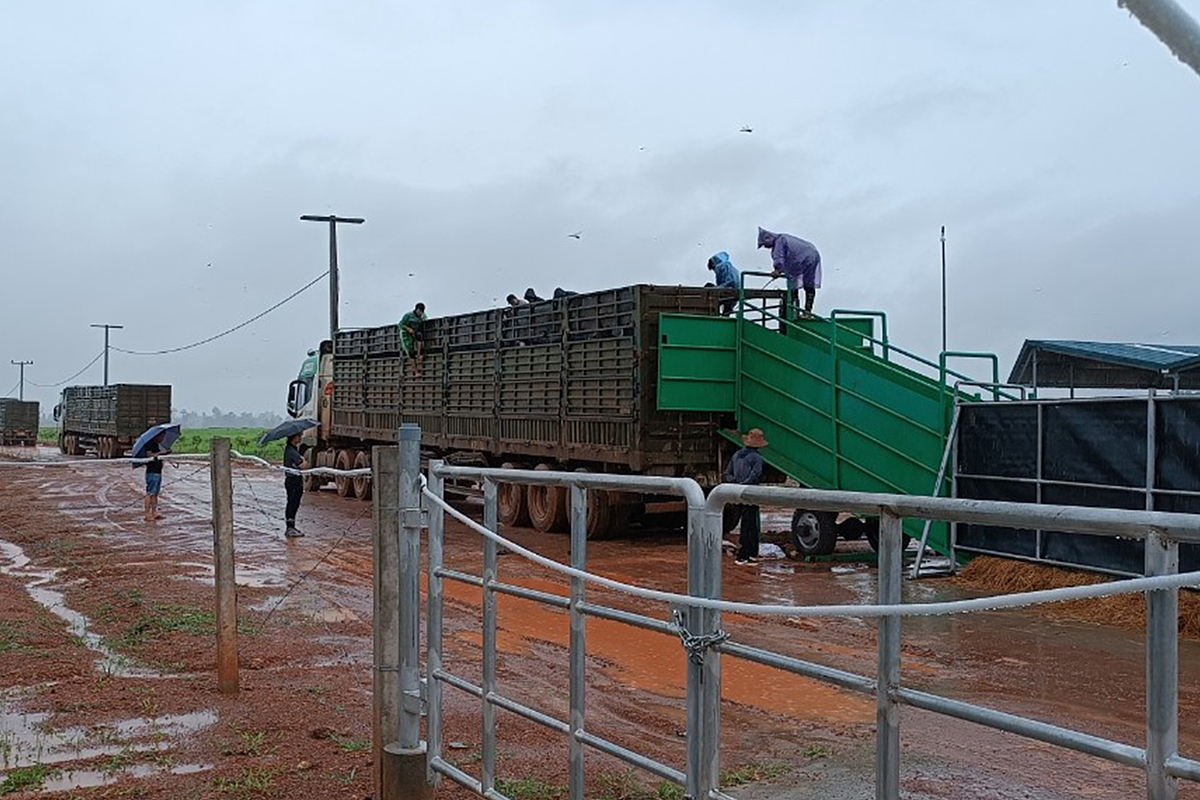 THILOGI đã xây dựng quy trình vận chuyển khoa học và phù hợp, bố trí 15 xe chuyên dụng, cùng đội ngũ lái xe giàu kinh nghiệm, đảm bảo vận chuyển an toàn, nhanh chóng.