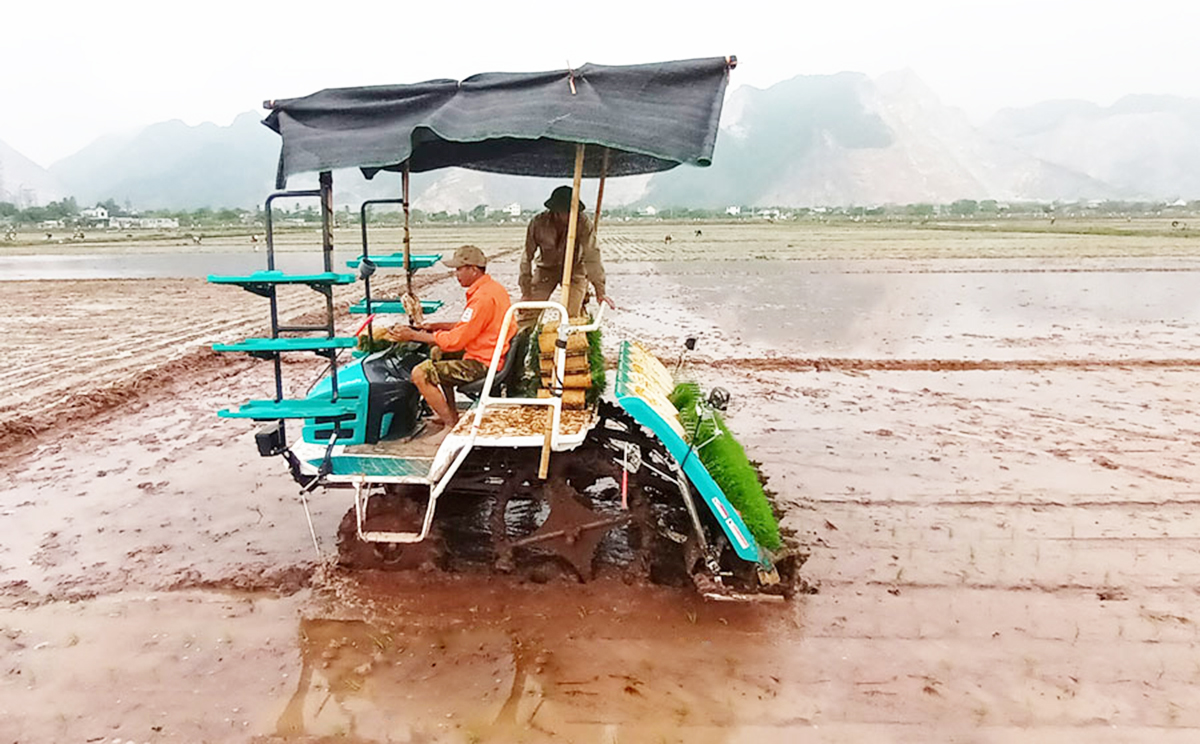 Nông dân Thanh Tân cấy bằng máy giúp giải phóng sức lao động, tăng giá trị sản xuất &lpar;Ảnh: Thanh Châu&rpar;.