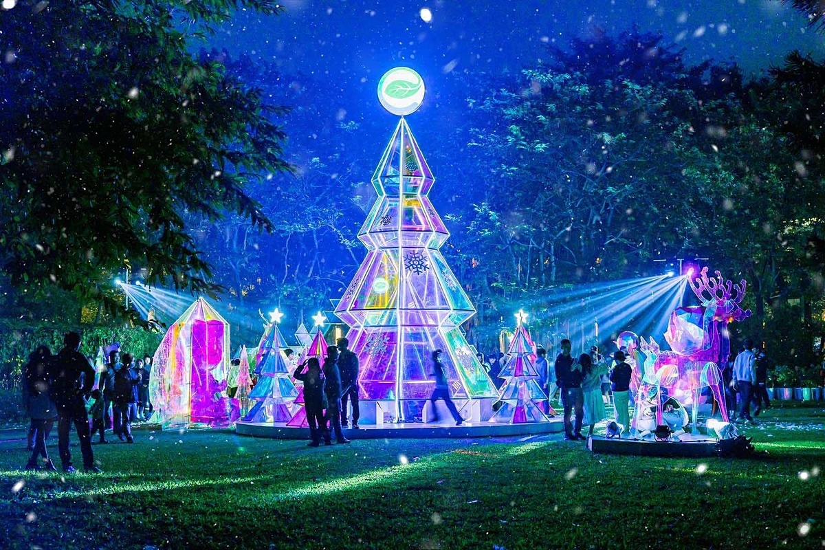 Cây thông khổng lồ trong khu rừng pha lê chiếu sáng cả một vùng đất.