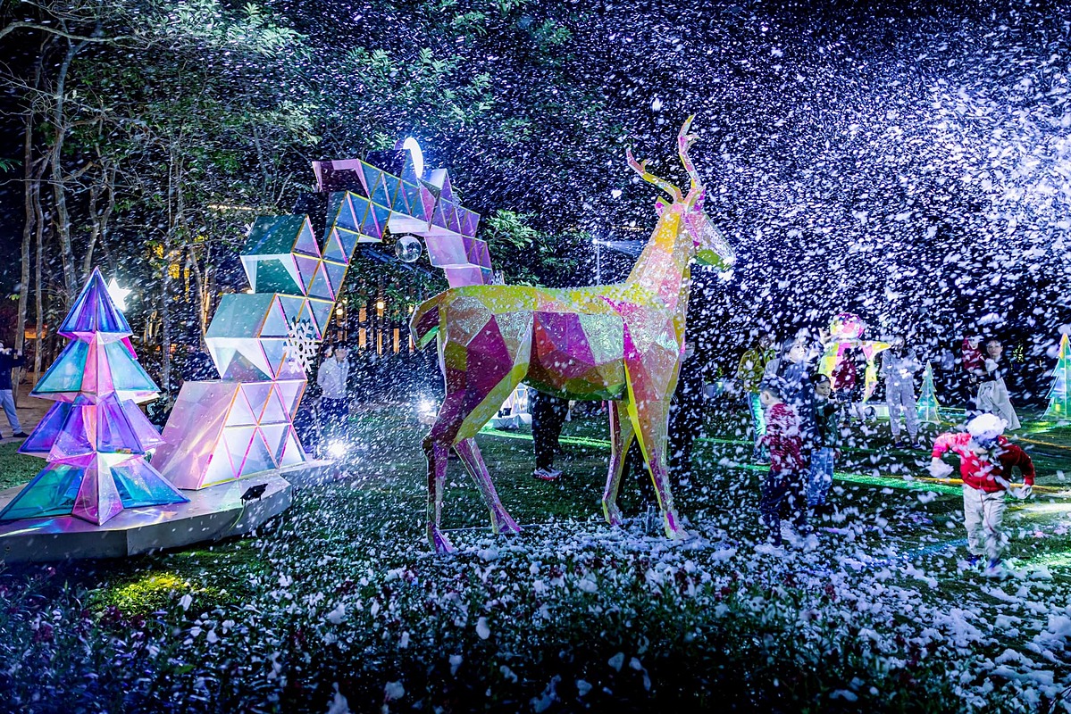 Tuyết rơi trong khu rừng pha lê.