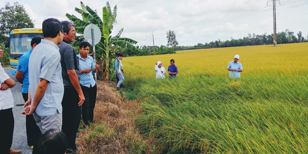 Hiệu quả từ mô hình liên kết chuỗi sản xuất của các HTX ở Phước Chỉ đã giúp nông dân nhận thấy tiềm năng phát triển kinh tế tại địa phương, vươn lên thoát nghèo bền vững.