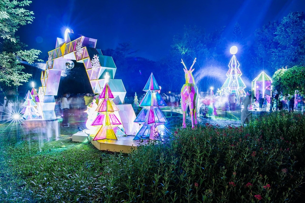 Khu rừng pha lê rực sáng trong đêm tối.