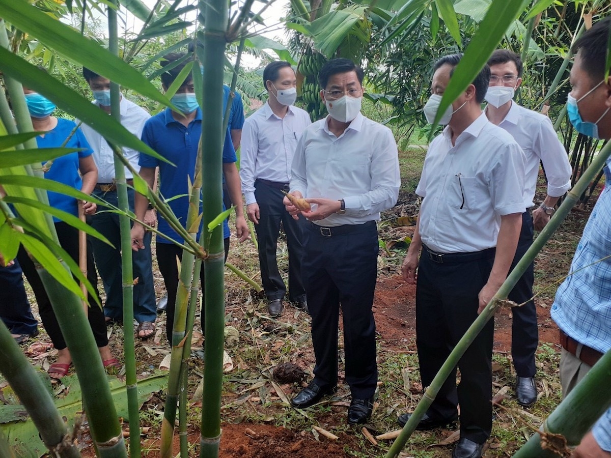 Ông Dương Văn Thái- Bí thư Tỉnh ủy tỉnh Bắc Giang &lpar;thứ 4, từ phải sang trái&rpar; thăm mô hình sản xuất của HTX Măng lục trúc Lâm Sinh Ngọc Châu.