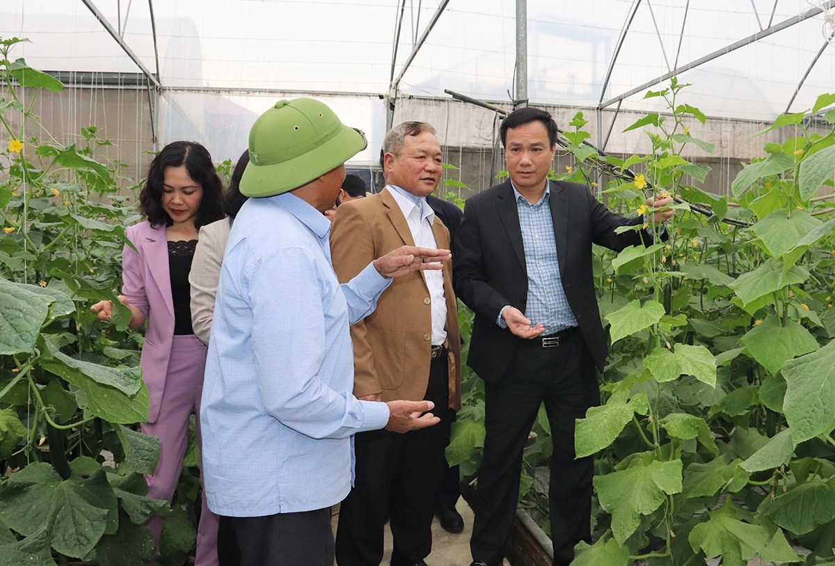 Ngành nông nghiệp huyện Gia Lộc định hướng phát triển theo hướng hiện đại, nâng cao giá trị gia tăng &lpar;Ảnh: BHD&rpar;.