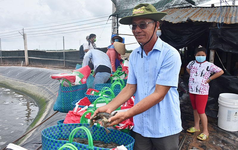Các thành viên Câu lạc bộ Nông dân tỷ phú huyện Thạnh Phú đã tích cực tham gia vào HTX nuôi tôm công nghệ cao của huyện Thạnh Phú.