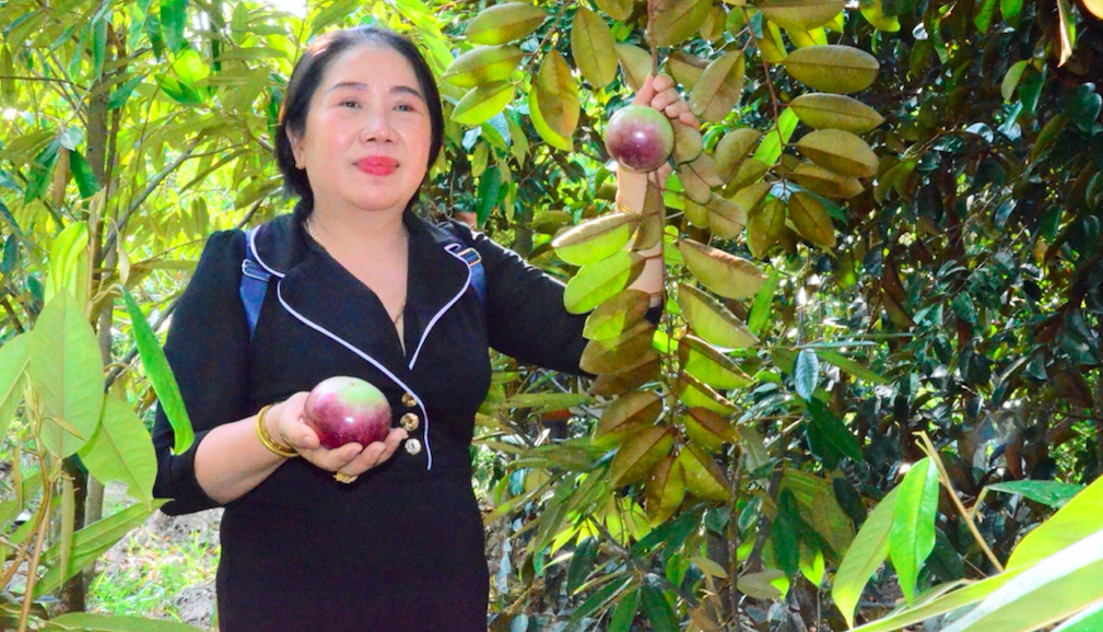 Mỗi thành viên trong Câu lạc bộ đã tạo sự lan tỏa phong trào nông dân thi đua sản xuất, kinh doanh giỏi.
