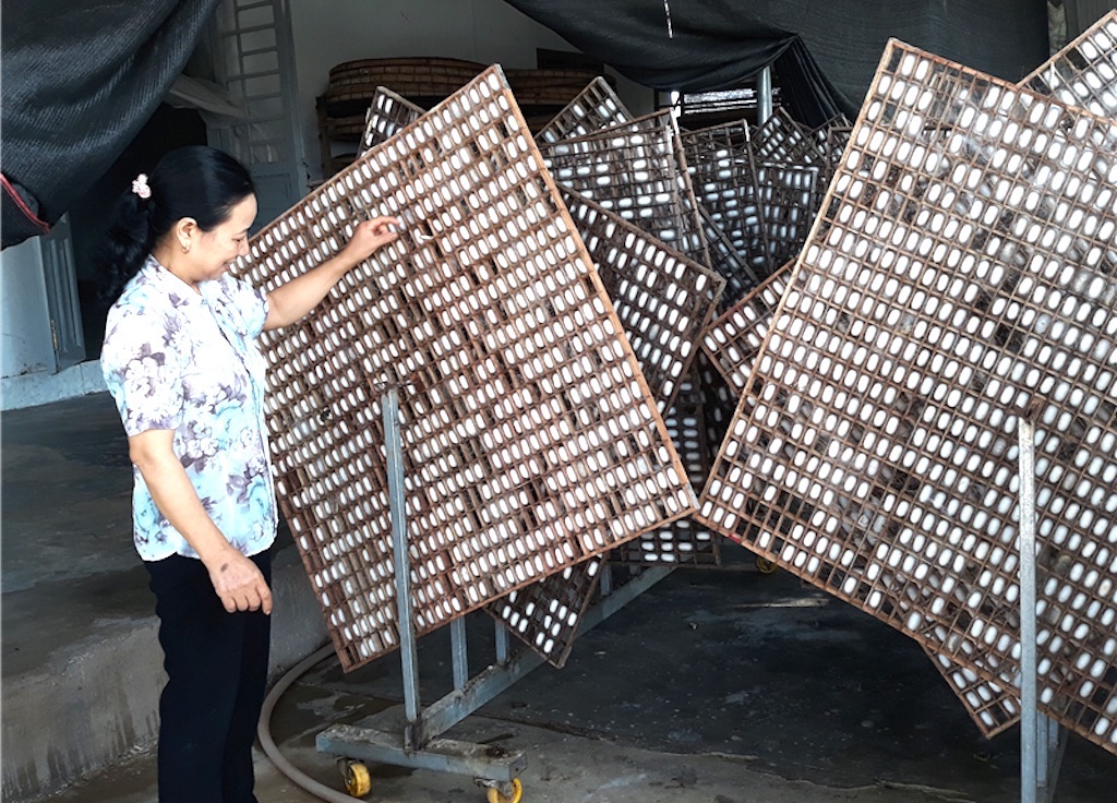 Nhờ thúc đẩy chuỗi liên kết ổn định, HTX dâu tằm Cát Tiên đã mang lại thu nhập ổn định cho người nông dân thị trấn Cát Tiên.