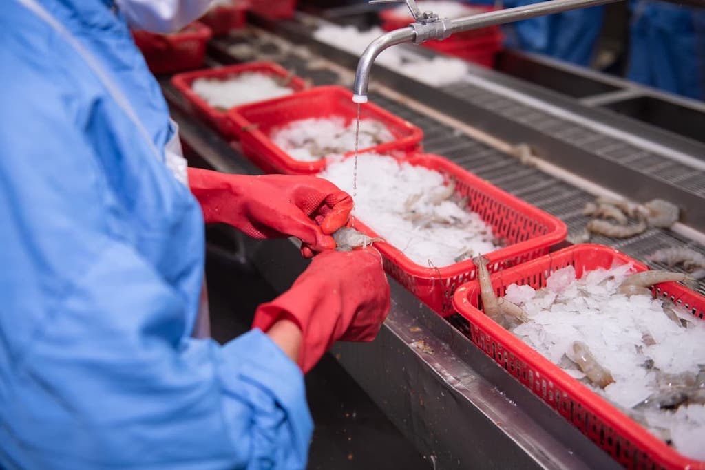 Những bất cập trong việc hướng dẫn thực hiện chính sách thuế Giá trị gia tăng đối với phế phẩm, phụ phẩm thủy hải sản rất cần được tháo gỡ.