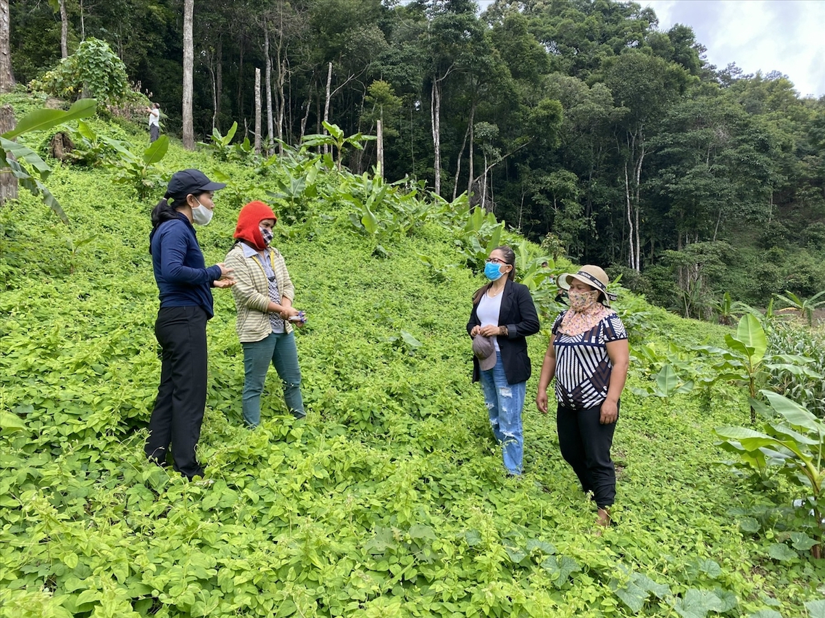 Đăk Glei đẩy mạnh phát triển kinh tế địa phương thông qua việc thành lập các tổ hợp tác, HTX.