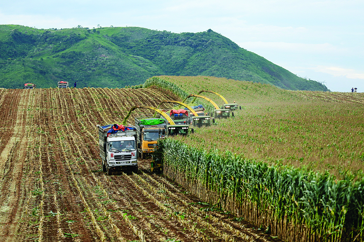 Tập đoàn TH là hình mẫu phát triển bền vững, tiên phong với nhiều đóng góp kinh tế xanh, kinh tế tuần hoàn, kinh tế tri thức tại Việt Nam.
