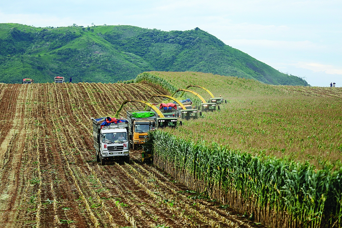 Tập đoàn TH là hình mẫu phát triển bền vững, tiên phong với nhiều đóng góp kinh tế xanh, kinh tế tuần hoàn, kinh tế tri thức tại Việt Nam.