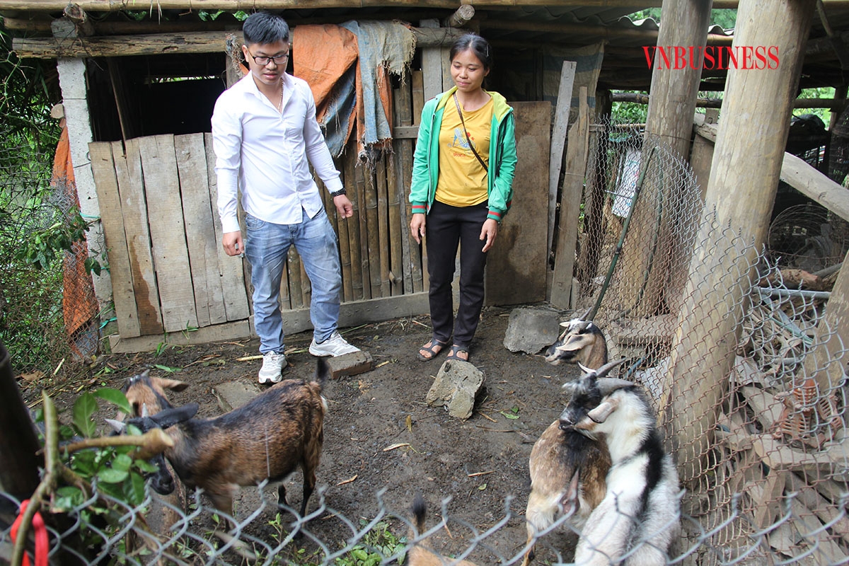 Anh Nguyễn Trung Kiên, Giám đốc HTX Độc Lập hướng dẫn kỹ thuật nuôi dê cho thành viên của HTX.