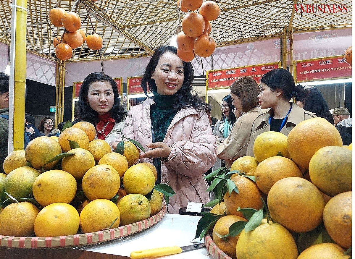 Những sản phẩm nông nghiệp chất lượng tốt đều góp mặt tại hội chợ này.